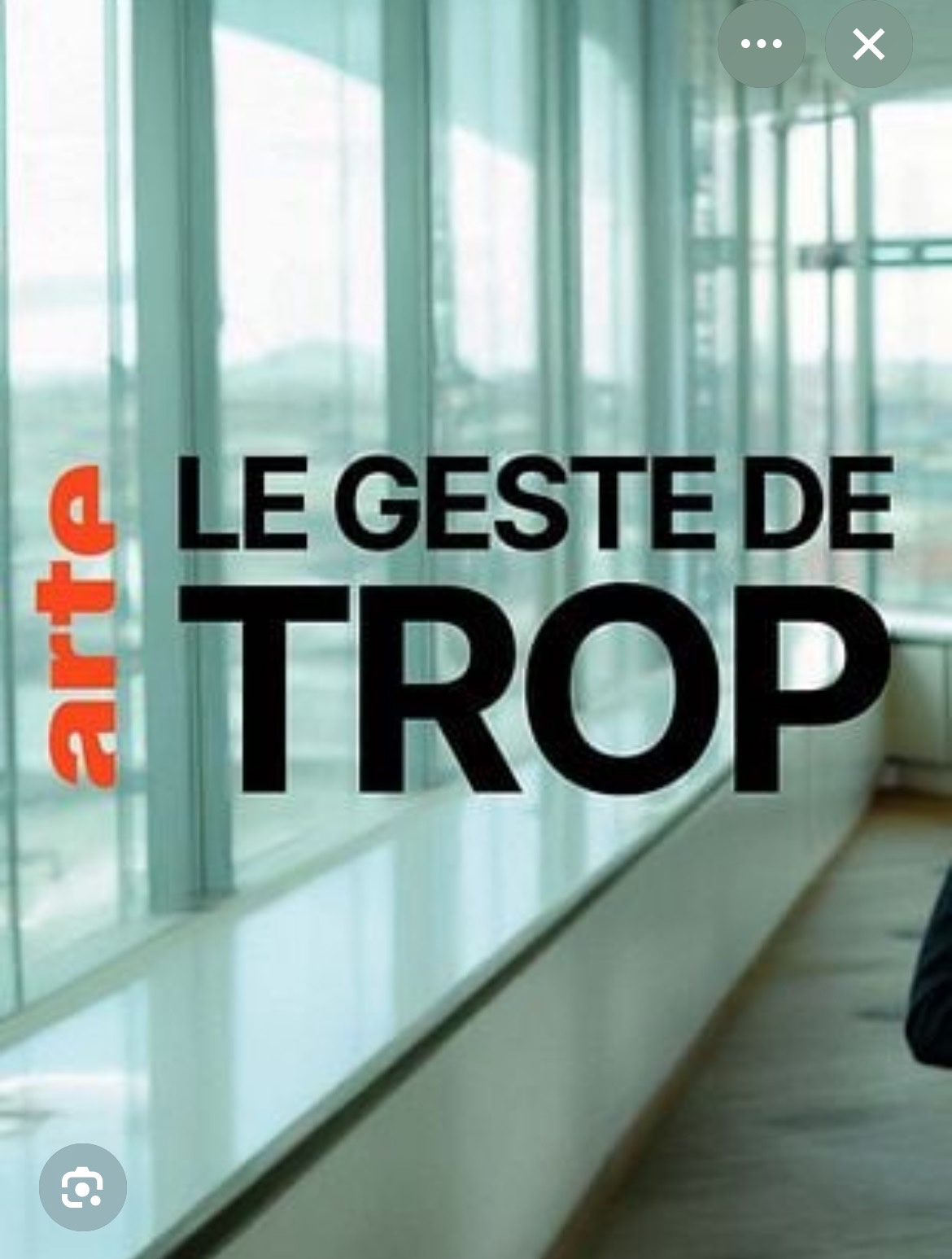 LE GESTE DE TROP